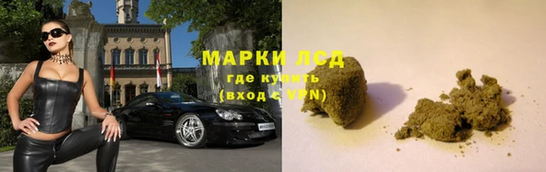 каннабис Беломорск