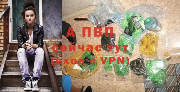 кокс Белокуриха