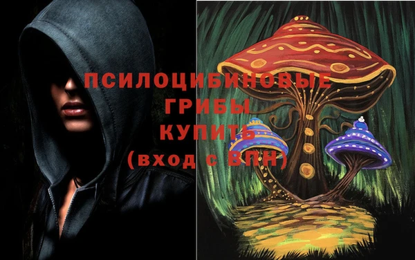 Альфа ПВП Белоозёрский