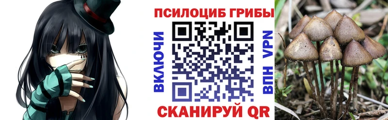 кракен онион  дарк нет формула  Будённовск  Псилоцибиновые грибы Psilocybine cubensis  купить наркоту 